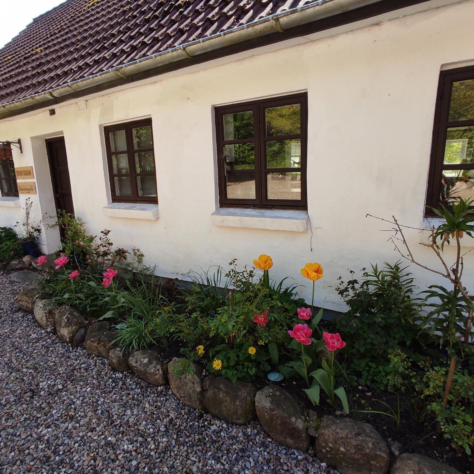 Emily'S Garden Bed & Breakfast Lintrup ภายนอก รูปภาพ